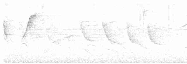 Turuncu Başlı Tangara - ML610475533