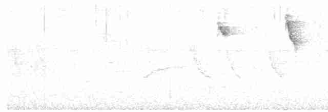 Turuncu Başlı Tangara - ML610475534