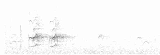 Torresian Kingfisher - ML610494466