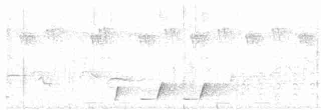 Красногрудый гладиатор - ML61051041
