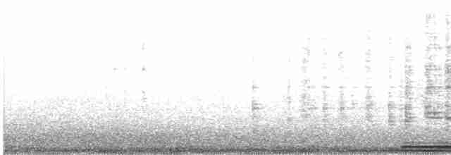 Гологлазая земляная горлица - ML610511717