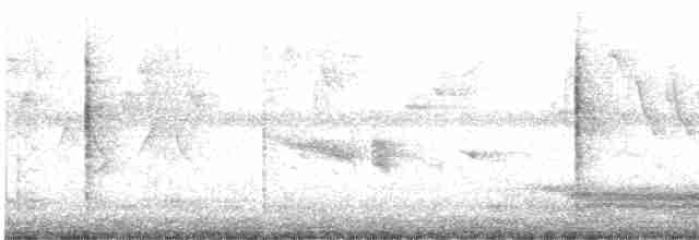 Blyth's Reed Warbler - ML610513598