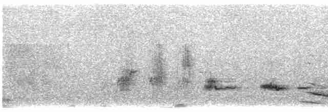svarthakehonningeter (laetior) (gyllenrygghonningeter) - ML610520422