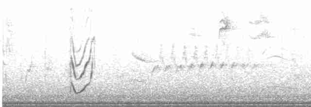 Green-tailed Towhee - ML610521359