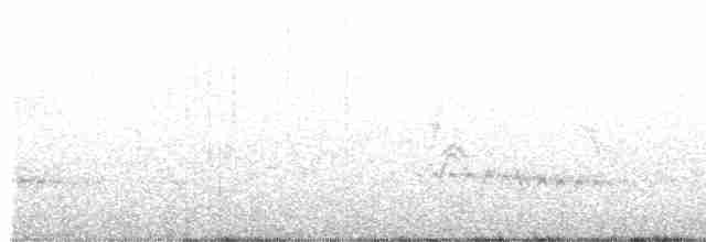 Fan-tailed Cuckoo - ML610523341