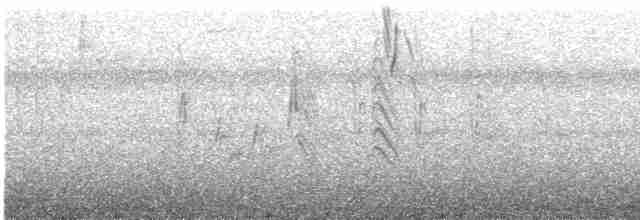 Çıplak Gözlü Ardıç - ML610525313