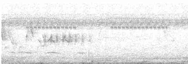 Brushland Tinamou - ML610526850