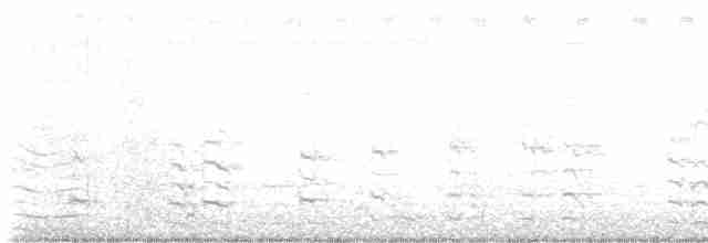 Kahverengi Islıkçı Ördek - ML610527159
