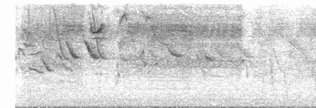Kahverengi Başlı Karatavuk - ML610527491