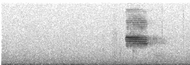 Loggerhead Shrike - ML610527527