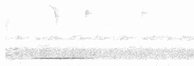 Gray Tinamou - ML610530477
