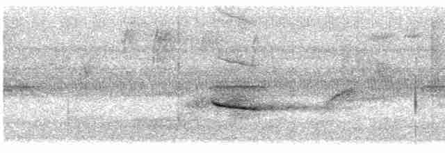 Дрізд-короткодзьоб плямистоволий - ML610531174