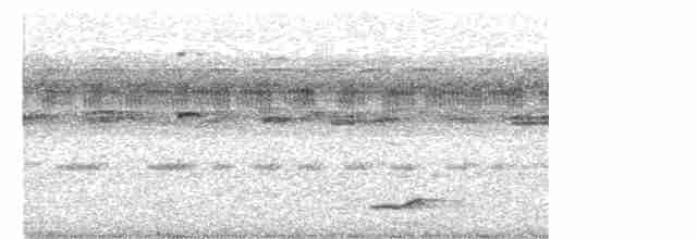 Bändernachtschwalbe - ML610531575