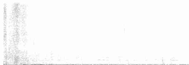 Branta musubeltza (hrota) - ML610532123