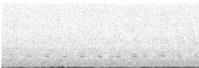 Gözlüklü Tiran - ML610537240
