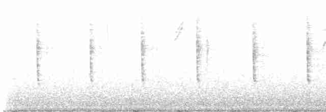 revespurv (unalaschcensis gr.) (sotrevespurv) - ML610541657