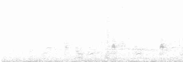 Kara Giysili Karıncakuşu - ML610543794