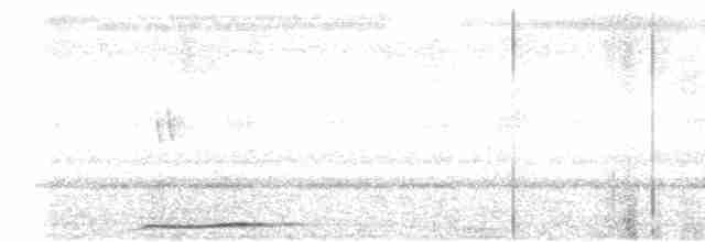 Сова-голконіг далекосхідна - ML610543972