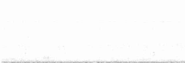 holub bledočelý - ML610545990