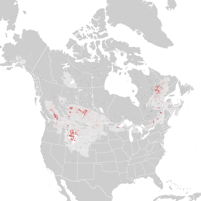 Mappa delle tendenze