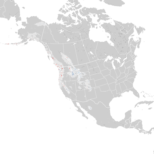 Mappa delle tendenze