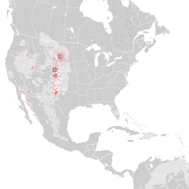 Mapa de tendencias