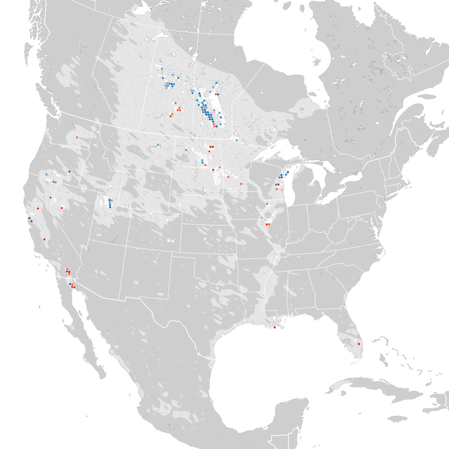 Mappa delle tendenze