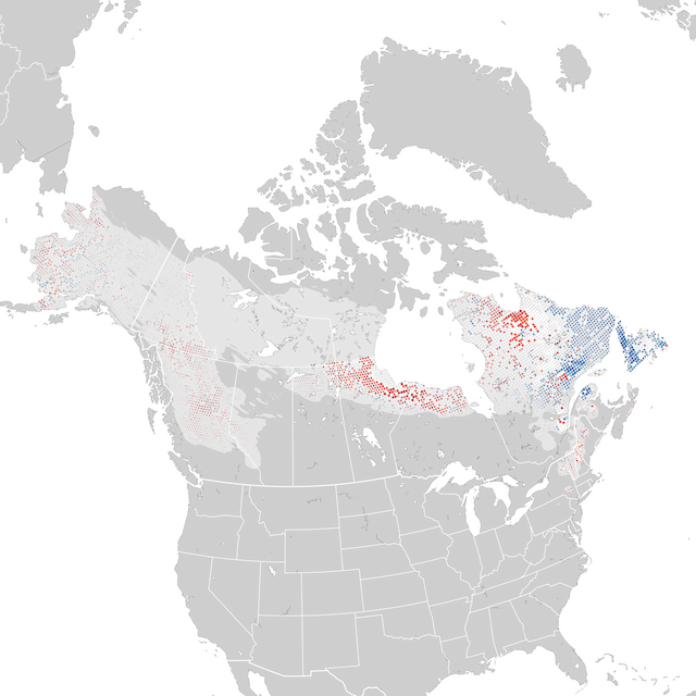 Carte des tendances