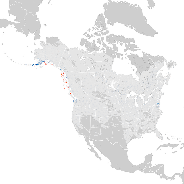 Mapa de Tendências