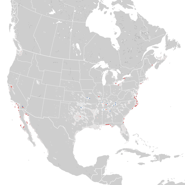 Mapa de Tendências