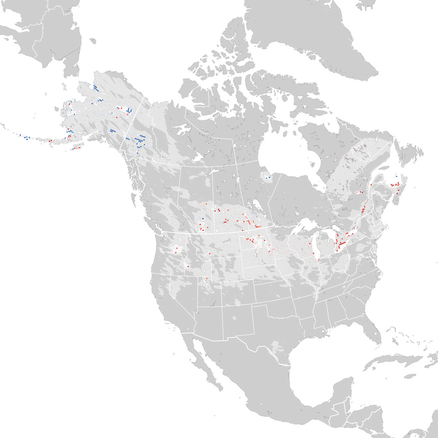 Carte des tendances