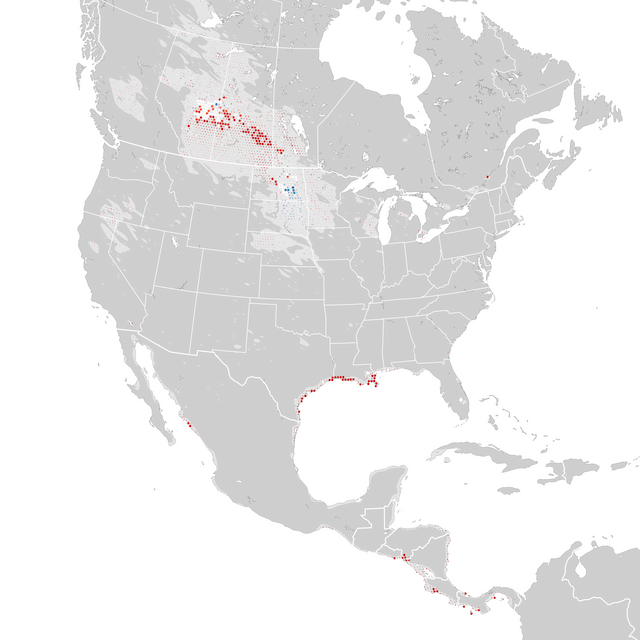 Mapa de Tendências