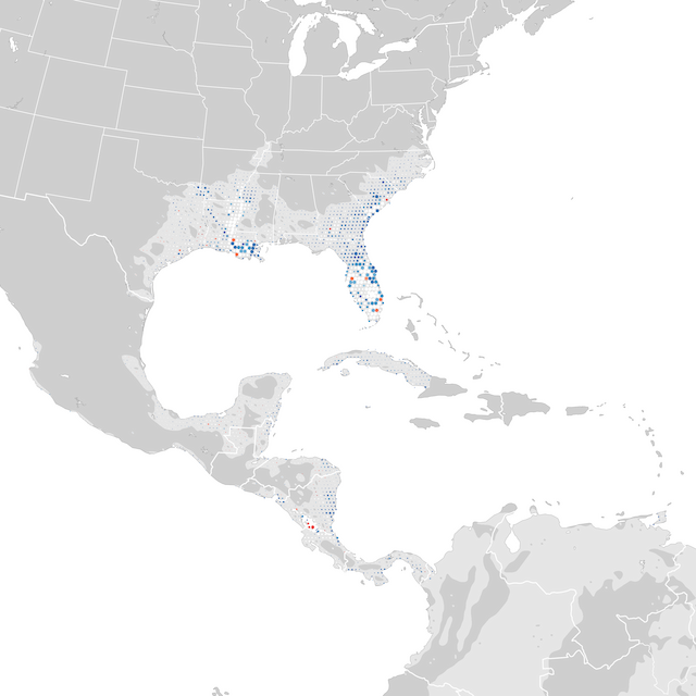 Mapa de Tendências