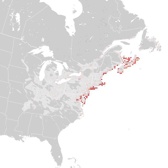 Trends Map