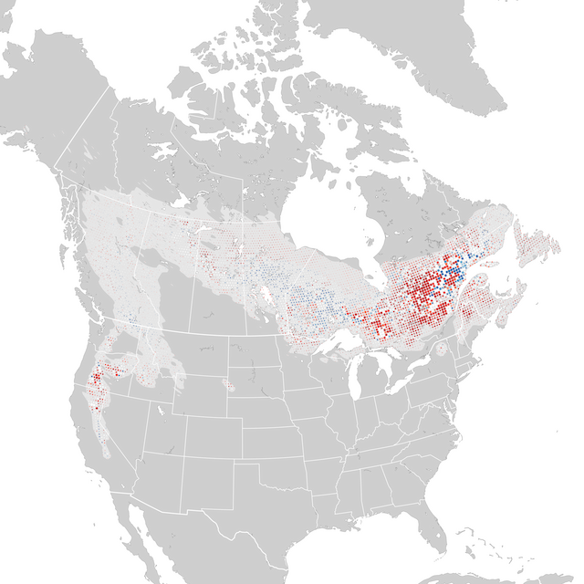 Trends Map