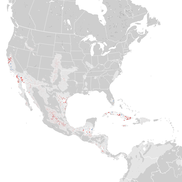 Mapa de tendencias