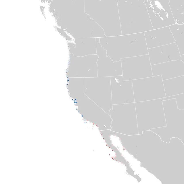 Mappa delle tendenze