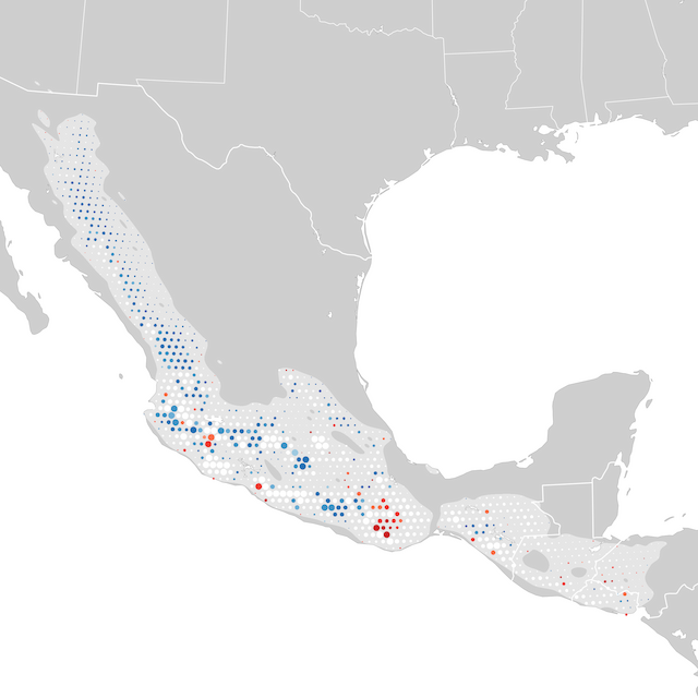 Mapa de tendencias