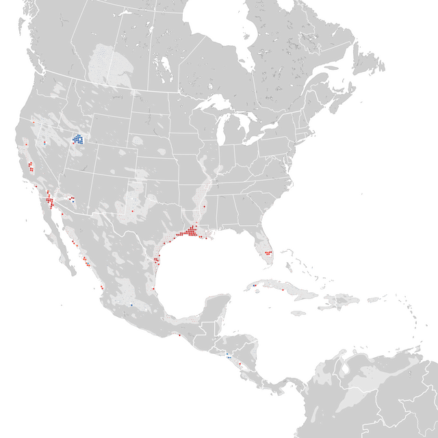 Mapa de Tendências