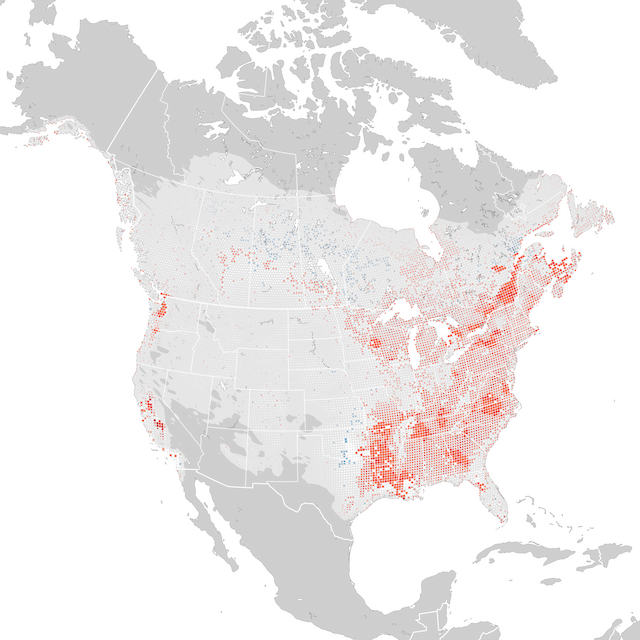 Mappa delle tendenze