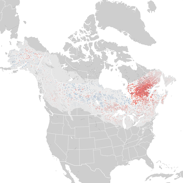 Trends Map