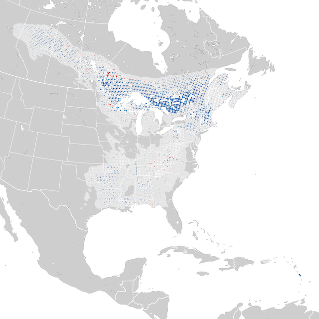 Trends Map