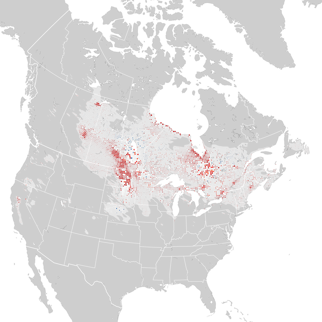 Trends Map