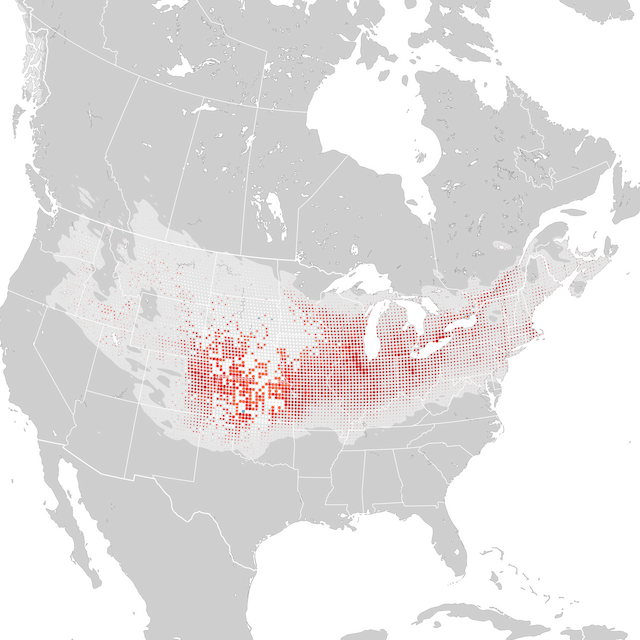 Mappa delle tendenze