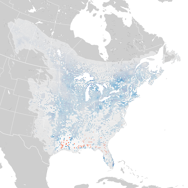 Mappa delle tendenze