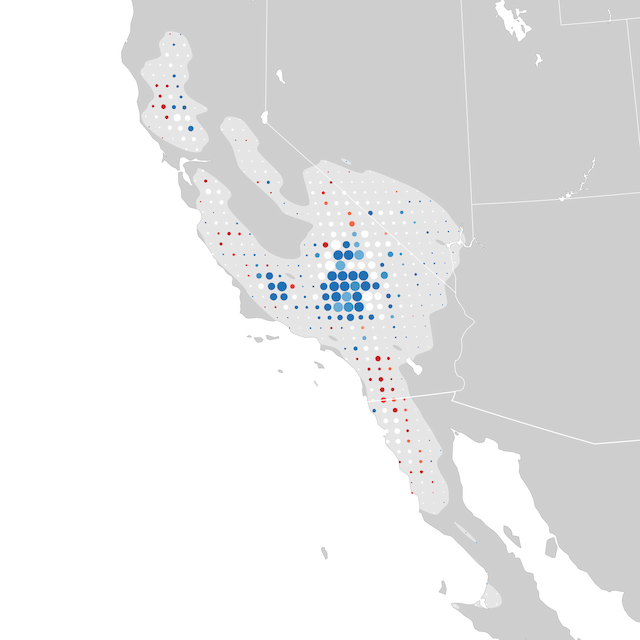 Mapa de tendencias