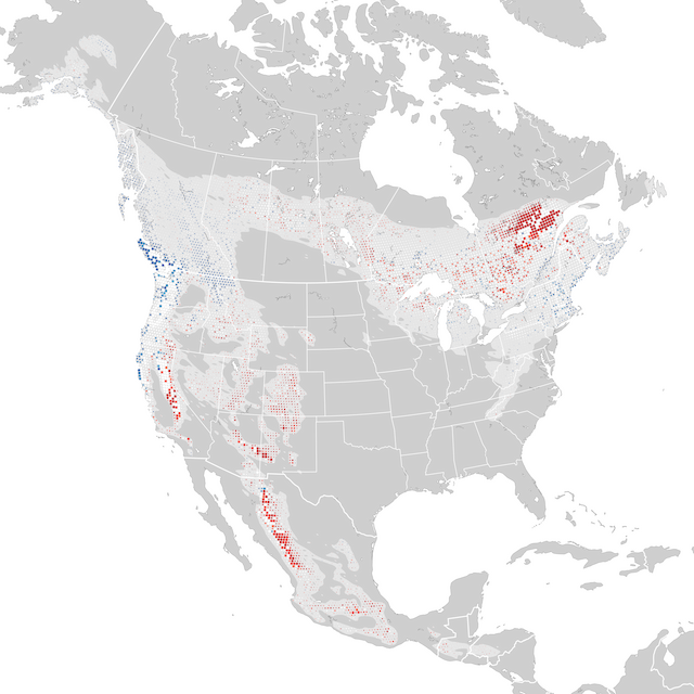 Mapa de Tendências