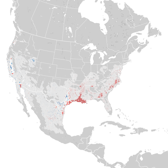 Mapa de Tendências