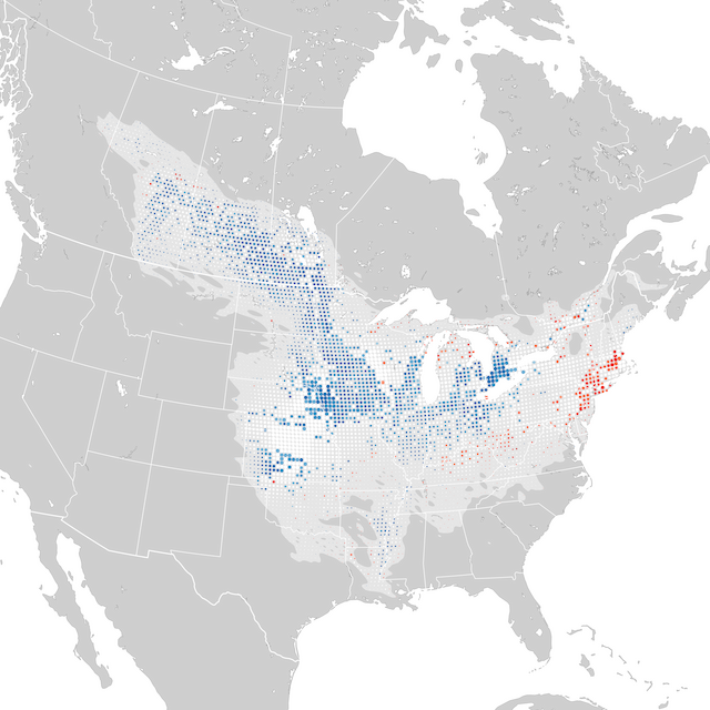 Mappa delle tendenze