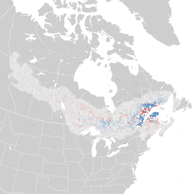 Trends Map